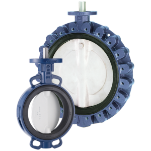 Butterfly Valve